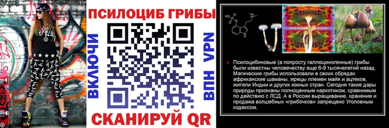 где продают Дегтярск Псилоцибиновые грибы MAGIC MUSHROOMS